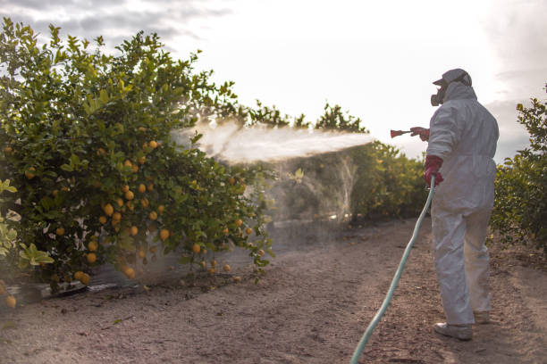 Best Best Pest Control Companies  in Ohioville, PA