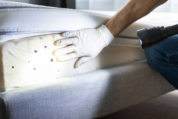 Best Local Pest Control Services  in Ohioville, PA