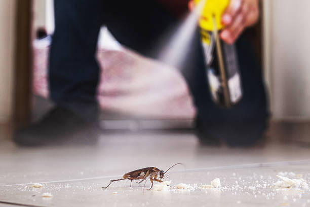 Best Best Pest Control Companies  in Ohioville, PA